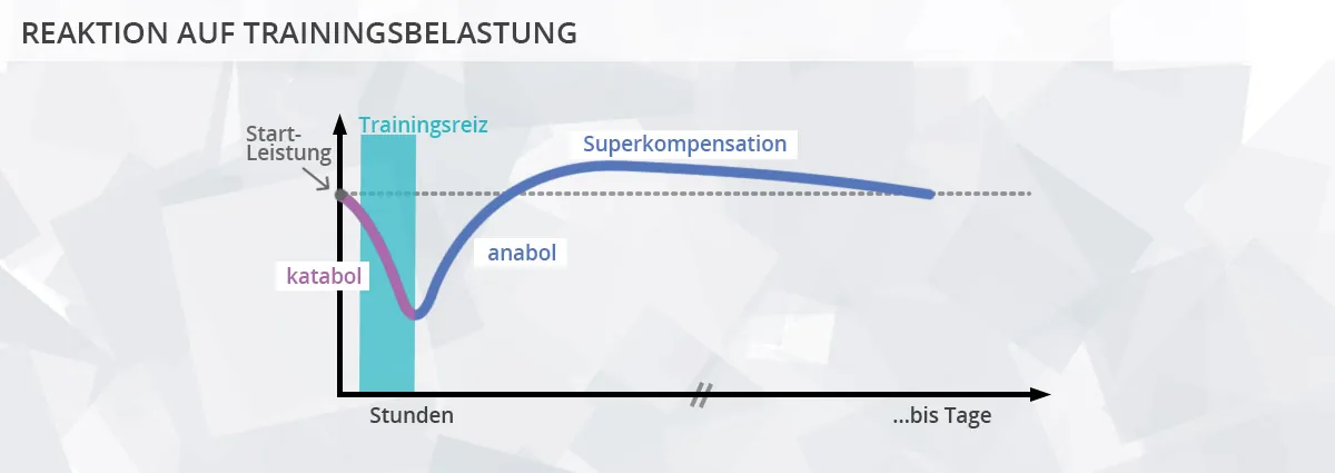 Reaktion auf Trainingsbelastung